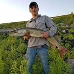 Zach Stevens - @zach.stevens.372 - Instagram