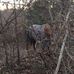 Zach Stevens - Facebook