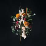 Zach Stevens - @zach_stevens22 - Instagram
