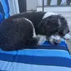Zach Straight - @zach.str8 - TikTok