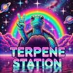 Zach Straw from Wichita - @terpstationnyc - Instagram