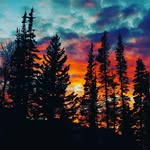 Zach Stringham - @zstringy1 - Instagram