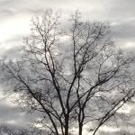 Zach Strong - @atlpictures - Instagram