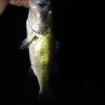 🎣Zach Suarez🎣 - @zachsuarez123 - Instagram