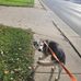 Zach Sullivan - Facebook