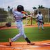 Zach Sullivan Hitting + Fielding Lessons - Facebook
