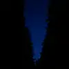 Zach Tanner - @zach_tanner - TikTok