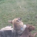 Zach Terry - @zach.terry.14606 - Instagram