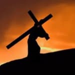 Zach Tobin - @znibot1 - Instagram