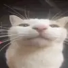 Zach Travis Knight - @zach.travis.knigh - TikTok