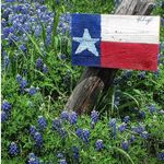 Zach Vance - @4abettertexas - Instagram