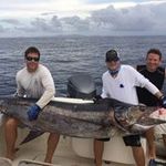 Zach Vineyard - @zv825 - Instagram