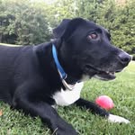 Zach Wallace - @zach__wallace01 - Instagram