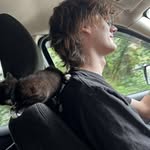Zachary Warman - @zacharyww7 - Instagram