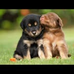 Zach Waters - @zach_waters0528 - Instagram