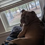 Zach Watts - Facebook