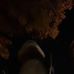 Zach Wayne - Facebook