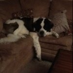 zach weeks - @steve_the_unicorn5 - Instagram