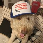 Zach Weeks - @weeks_zach - Instagram