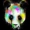 Zach Weeks - @zachweeks0 - TikTok