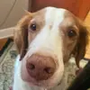 Zach Weeks - @zweeks18 - TikTok