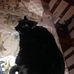 Zachary Weidner - Facebook