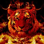 Zach Welch - @zach3703 - Instagram