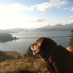 Zach Westfall - @208dadaho - Instagram