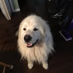 Zachary Whitcomb - @x_zachary_whitcomb_x - Instagram