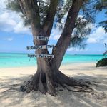 Zach Whitehead - @zrw221 - Instagram