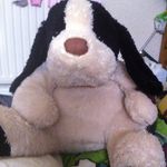 Zach Whitehead - @zachpanther04 - Instagram