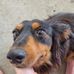 Zac Wickham - Facebook