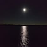 Zach Widener - @wide_to_the_ner - Instagram