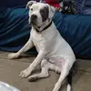zacharywidmer - @zacharywidmer - TikTok