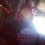 Zach Wiggins - @zach_wiggins_57 - Instagram