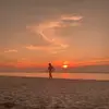 Zach - @zachwills_ - TikTok