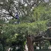 Z_Winn08 - @zachwinn665 - TikTok