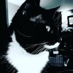 Zach Wolf - @zachwolf0805 - Instagram