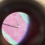 Zach Yates - @zachatron007 - Instagram