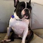Zach Yoder - @zacharyyoder - Instagram