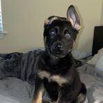 @zach.zarba - Instagram