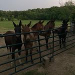 Zach Zook - @zach.zook - Instagram