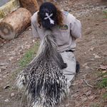 Zach - @zookeeper.zach - Instagram
