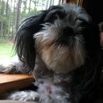 Zachariah Ryan - @zach_mcfatboy - Instagram
