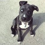 Zachariah Lovesstrong - @zachariahlovesstrong - Instagram