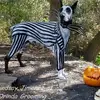 Zachariah Wolferd - @zachariah.wolferd0 - TikTok
