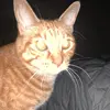 Zach - @zacharybackaryhackary - TikTok