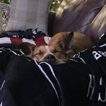 Zachary Back - @zack_back110 - Instagram