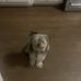 Zachary Bernier - Facebook