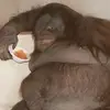 Zachary Bitler - @zachary_bitler - TikTok
